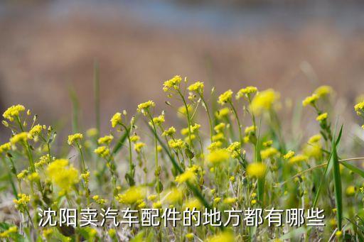 沈阳卖汽车配件的地方都有哪些