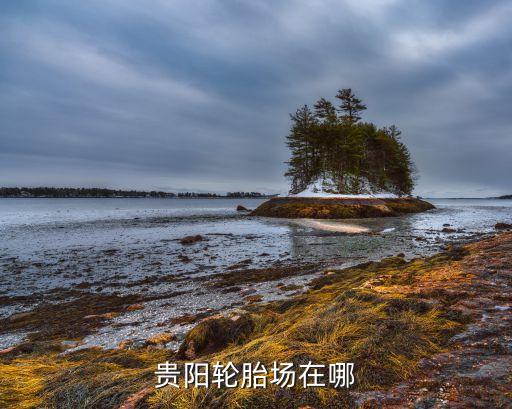 贵阳轮胎场在哪