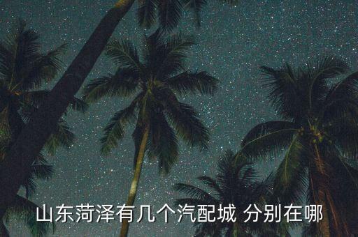 山东菏泽有几个汽配城 分别在哪