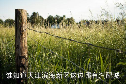 谁知道天津滨海新区这边哪有汽配城
