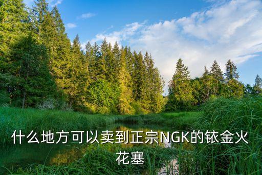 什么地方可以卖到正宗NGK的铱金火花塞
