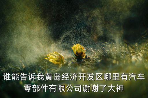 谁能告诉我黄岛经济开发区哪里有汽车零部件有限公司谢谢了大神