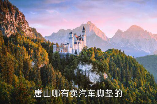 唐山哪有卖汽车脚垫的