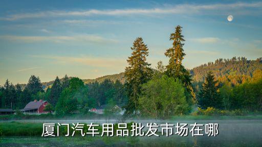 厦门汽车用品批发市场在哪