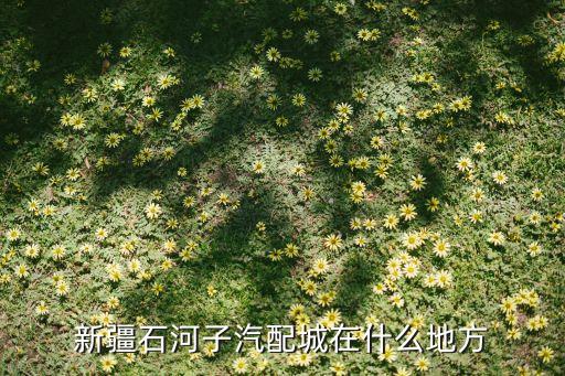 新疆石河子汽配城在什么地方