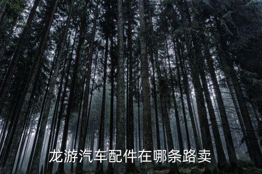 龙游货车汽配店地址在哪里，想知道 衢州市 伟博汽车配件有限公司 在哪