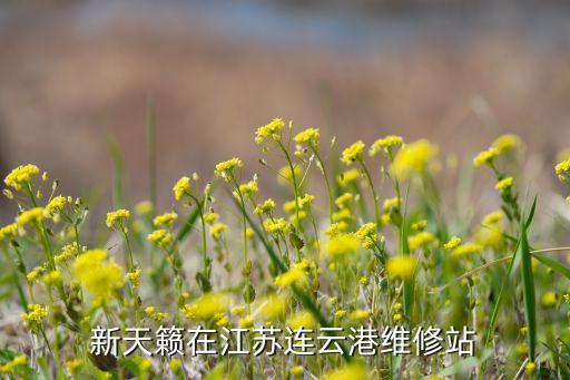 新天籁在江苏连云港维修站