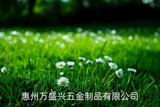 惠州万盛兴五金制品有限公司
