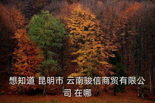 想知道 昆明市 云南骏信商贸有限公司 在哪