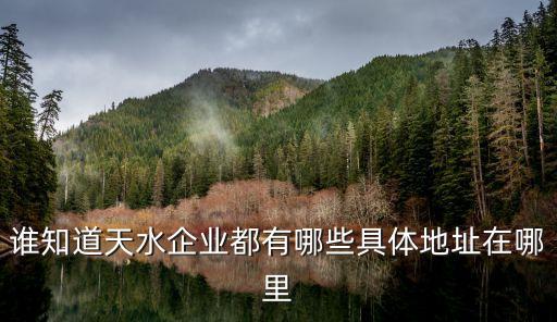 谁知道天水企业都有哪些具体地址在哪里