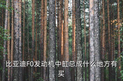 南昌比亚迪汽配城地址电话，请问南昌有几个汽配城哪个汽配城是批发轿车配件的哪个汽
