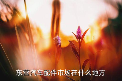 东营汽车配件市场在什么地方