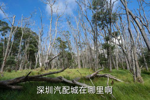 深圳汽配城在哪里啊