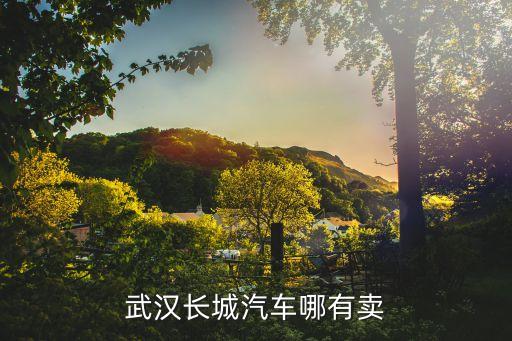 武汉长城汽配城地址，武汉长城汽车哪有卖