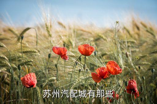 苏州汽配城有那些