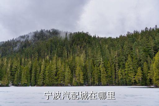 宁波汽配城在哪里