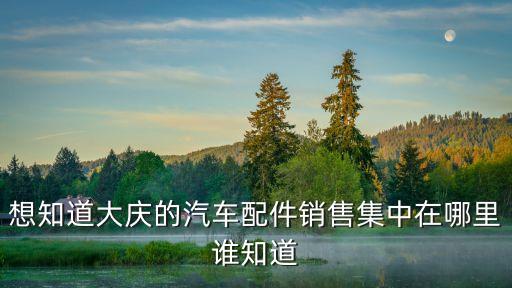 想知道大庆的汽车配件销售集中在哪里谁知道