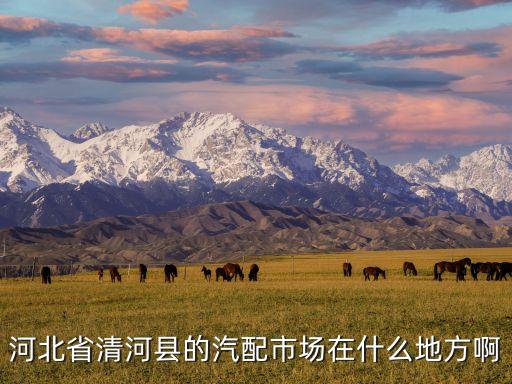 清河汽配展会2023地址，张家口规模大一点的灯具市场在哪里