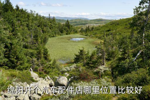 绵阳汽配货架销售点地址，绵阳开个汽车配件店哪里位置比较好