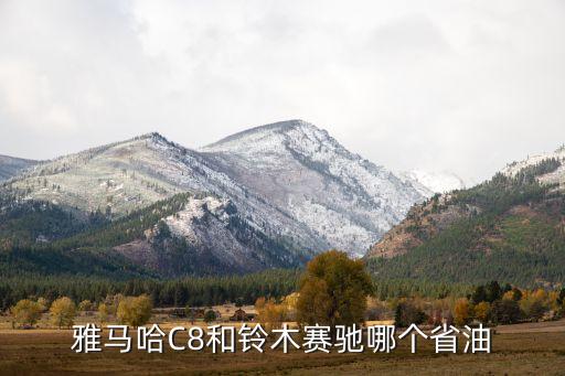 雅马哈C8和铃木赛驰哪个省油