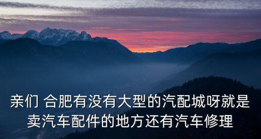 亲们 合肥有没有大型的汽配城呀就是卖汽车配件的地方还有汽车修理