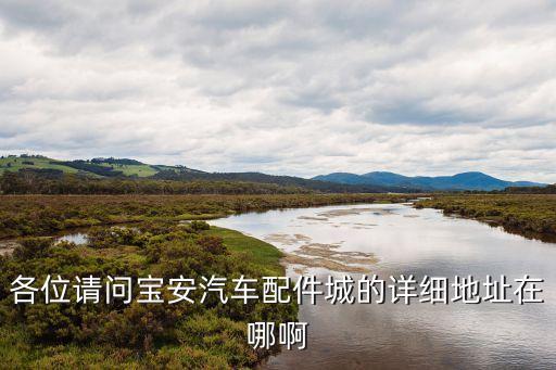 各位请问宝安汽车配件城的详细地址在哪啊