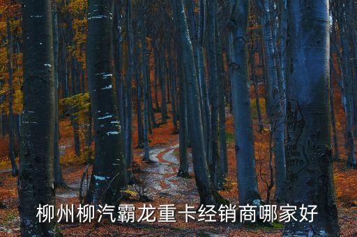 附近柳汽配件供应商地址，柳汽乘龙面包车的配件那里有卖