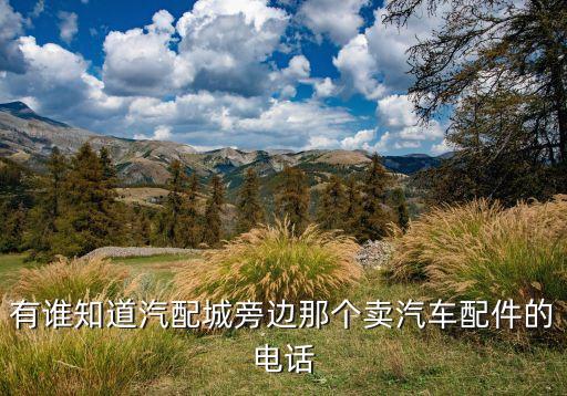 有谁知道汽配城旁边那个卖汽车配件的电话