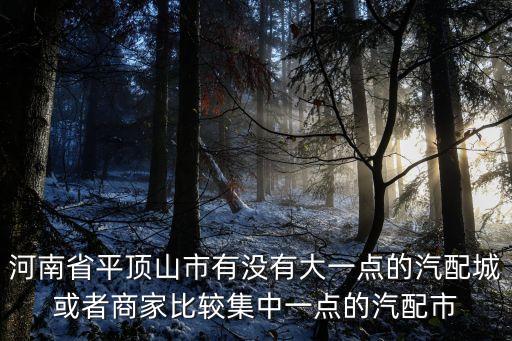 河南省平顶山市有没有大一点的汽配城或者商家比较集中一点的汽配市