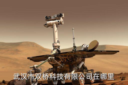 武汉市双桥科技有限公司在哪里