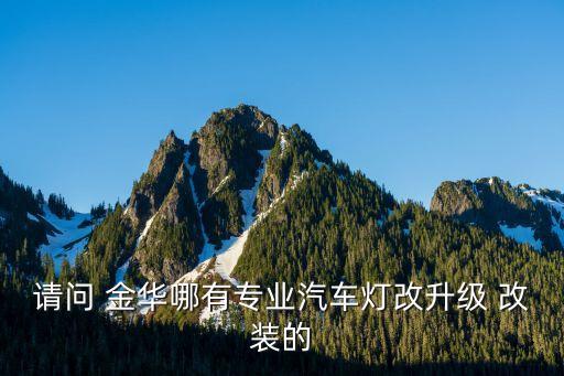 请问 金华哪有专业汽车灯改升级 改装的