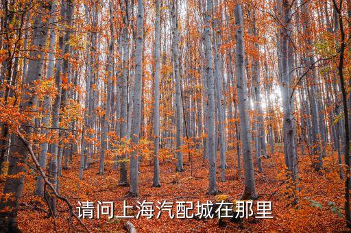 请问上海汽配城在那里