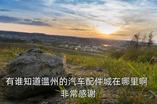 有谁知道温州的汽车配件城在哪里啊 非常感谢