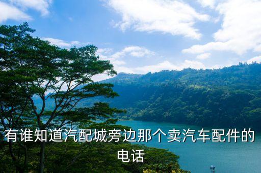 有谁知道汽配城旁边那个卖汽车配件的电话