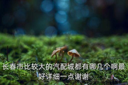长春市比较大的汽配城都有哪几个啊最好详细一点谢谢