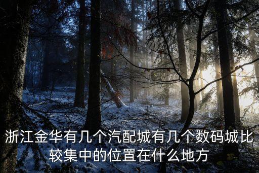 浙江金华有几个汽配城有几个数码城比较集中的位置在什么地方