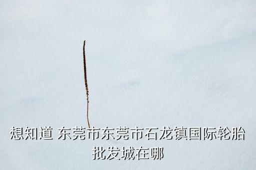 想知道 东莞市东莞市石龙镇国际轮胎批发城在哪