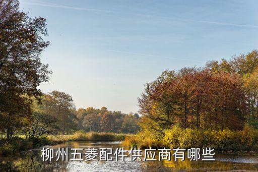 柳州五菱配件供应商有哪些
