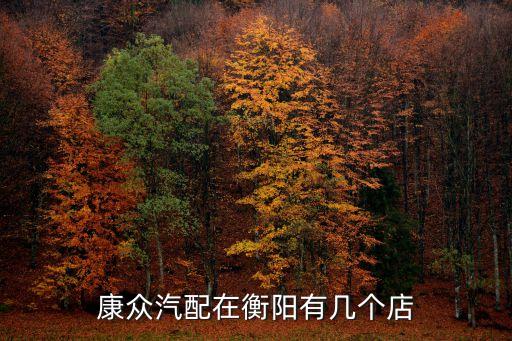 康众汽配在衡阳有几个店