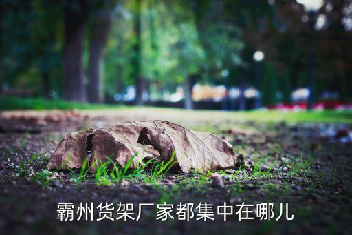霸州货架厂家都集中在哪儿