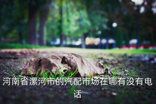 河南省漯河市的汽配市场在哪有没有电话