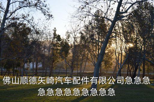 佛山顺德矢崎汽车配件有限公司急急急急急急急急急急急急