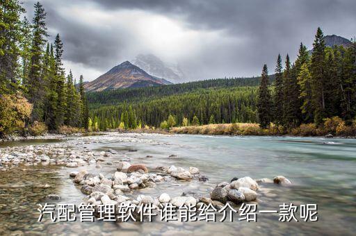 汽配管理软件谁能给介绍一款呢