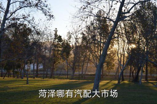 菏泽哪有汽配大市场