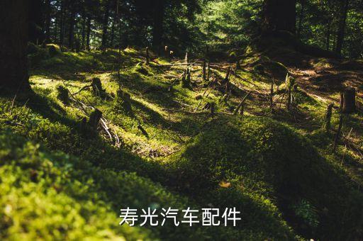 寿光汽车配件