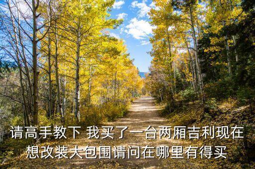 请高手教下 我买了一台两厢吉利现在想改装大包围请问在哪里有得买