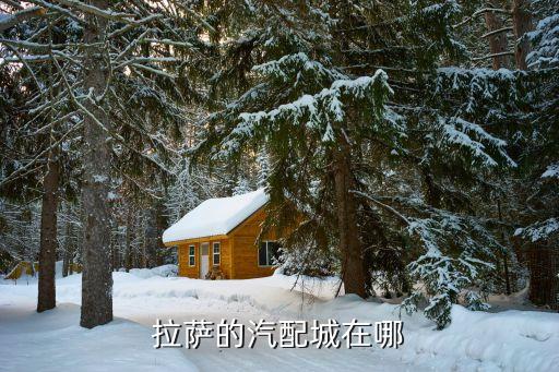西藏芒康县汽配城电话地址，西安市除了三桥海纳和玉林汽配城之外还有哪些汽配城
