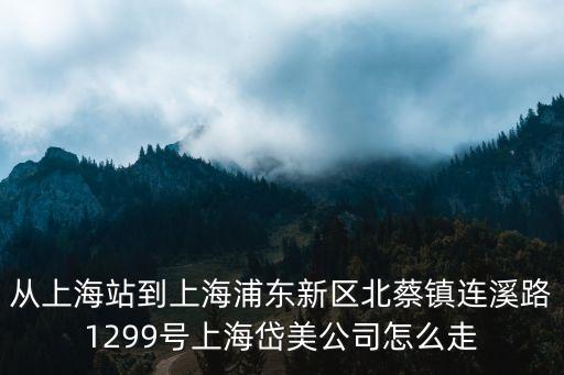 上海岱美汽配厂地址，从上海站到上海浦东新区北蔡镇连溪路1299号上海岱美公司怎么走