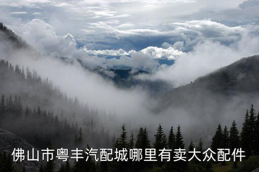 佛山市粤丰汽配城哪里有卖大众配件