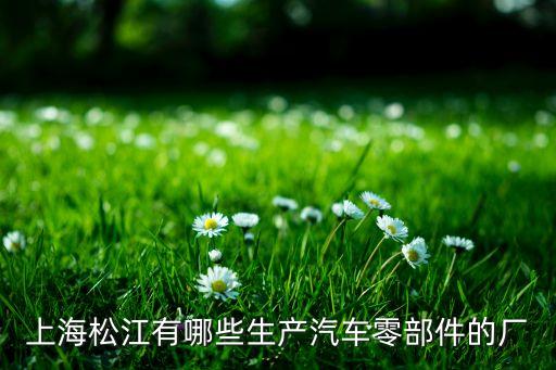 上海松江有哪些生产汽车零部件的厂